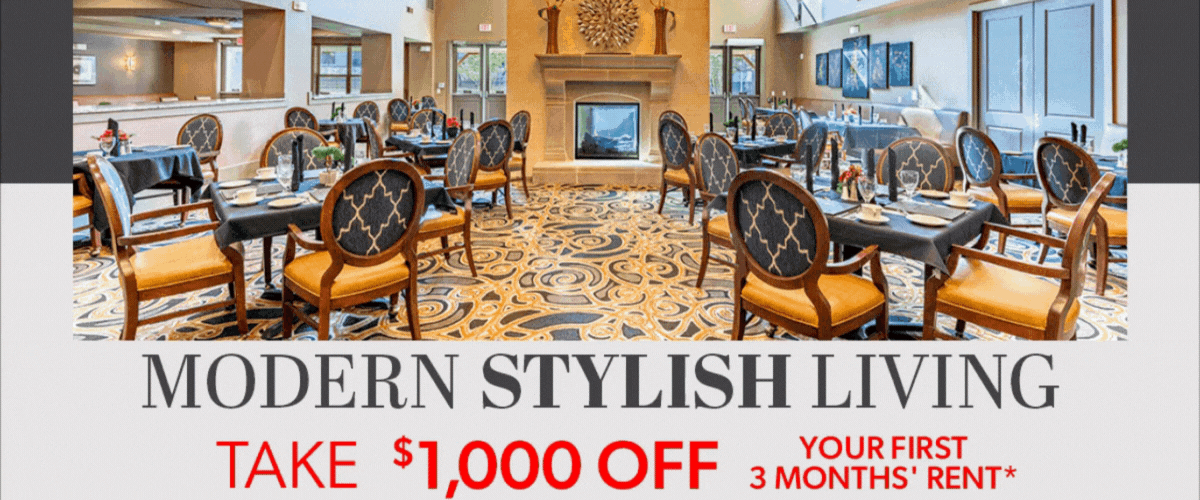 DVD - Modern Stylish - 1200x500